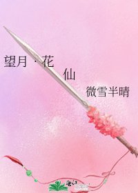 望月•花仙